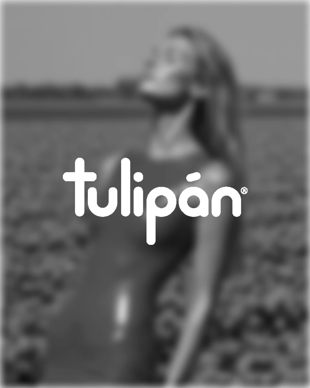Tulipán in Indumentaria
